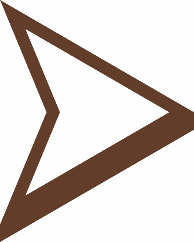 arrow icon
